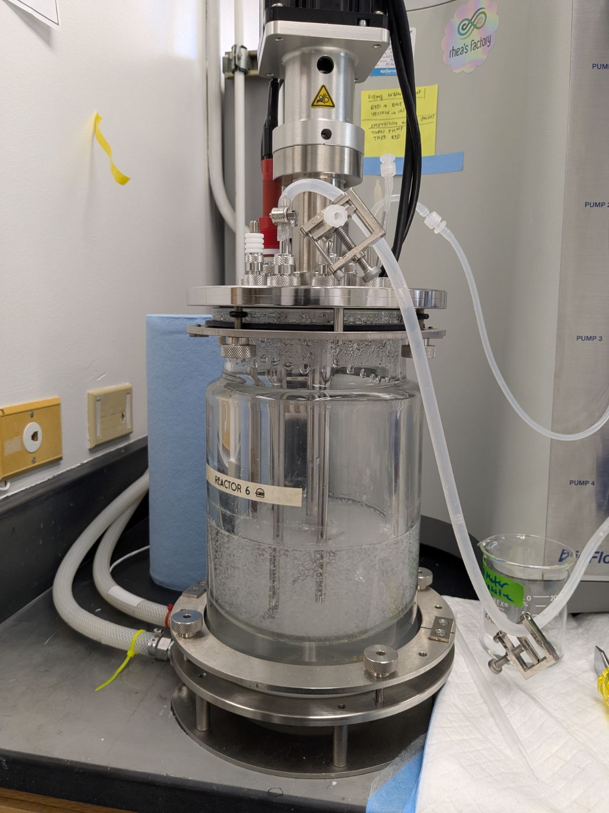 Rhea's Factory bioreactor in the lab